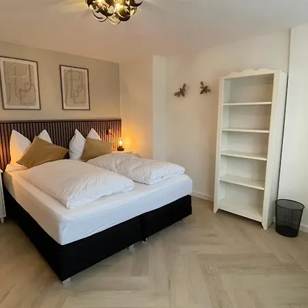 Schelvis * Zandvoort