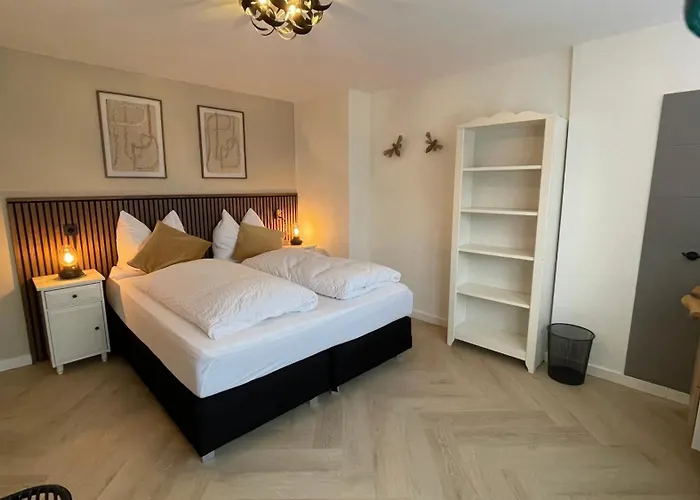 Schelvis * Zandvoort