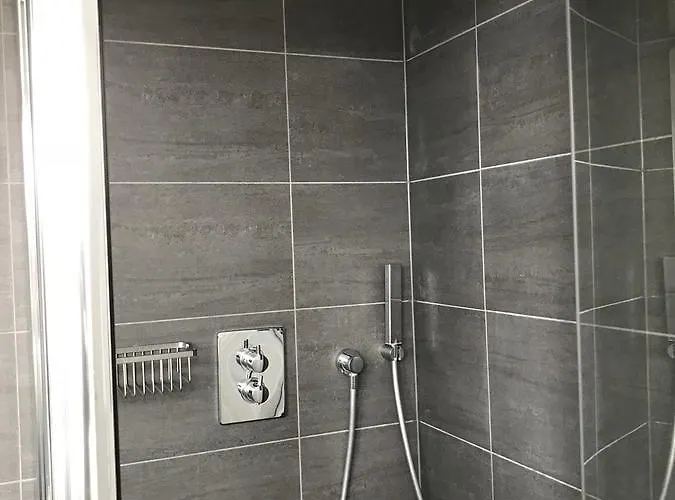 Schelvis * Zandvoort