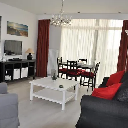 Schelvis * 잔드보르트