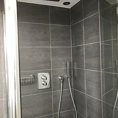 Schelvis * Zandvoort