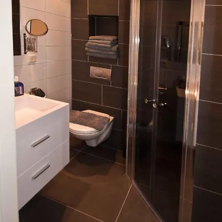 Schelvis Зандфорт