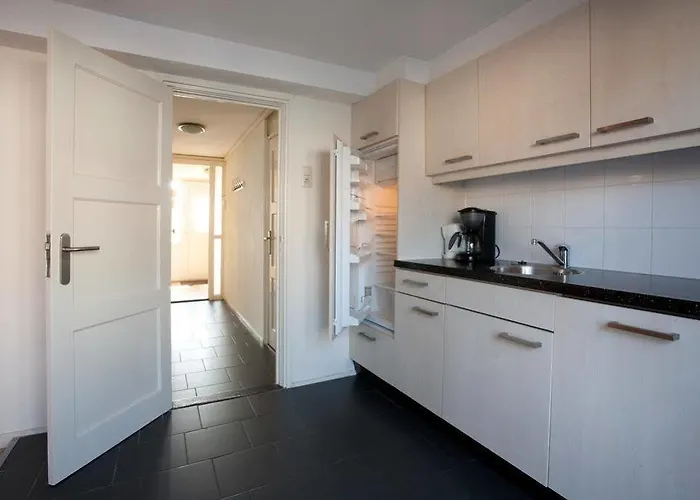 施尔维斯公寓 *